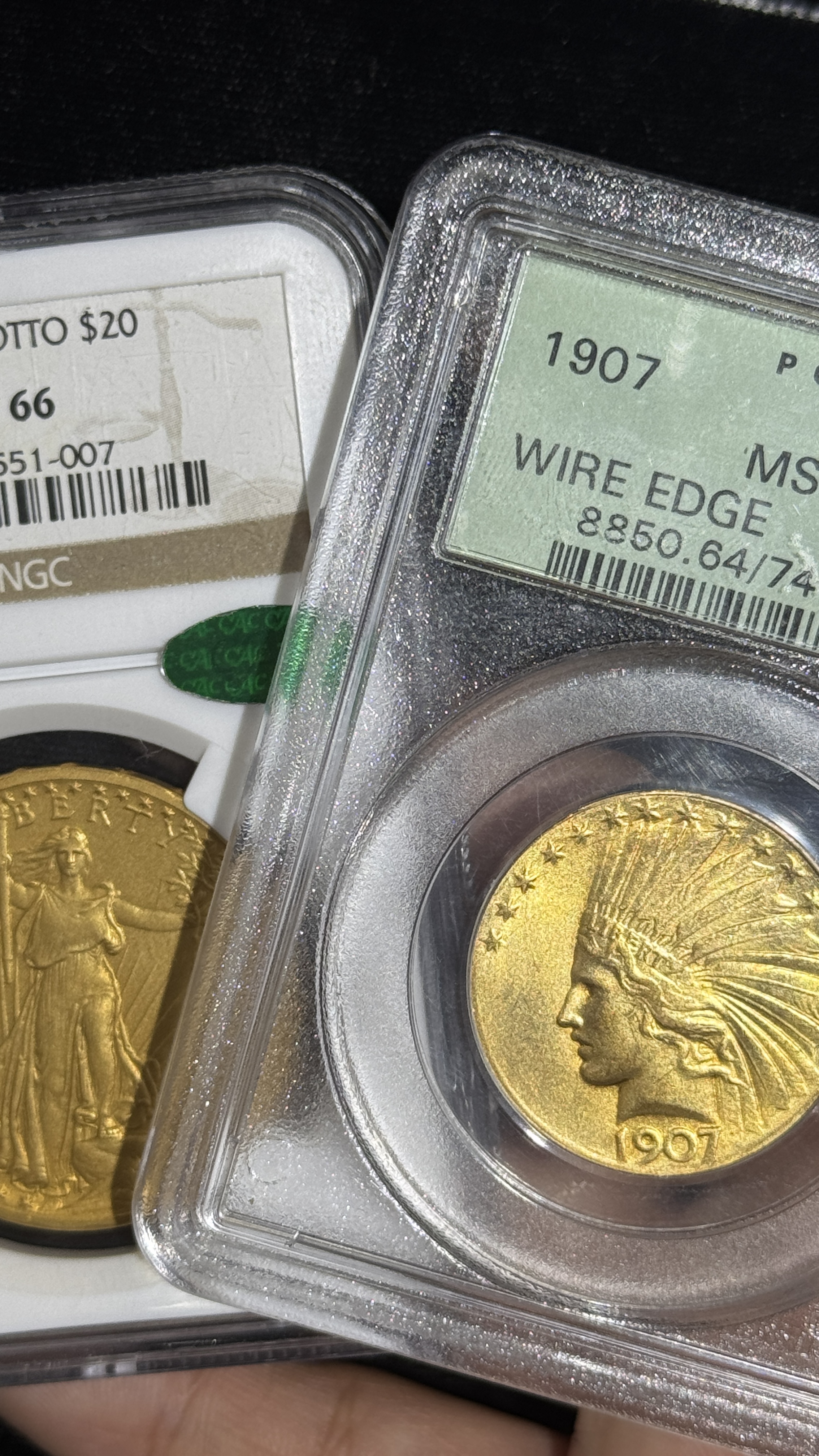 Gulfcoast featured auction lot