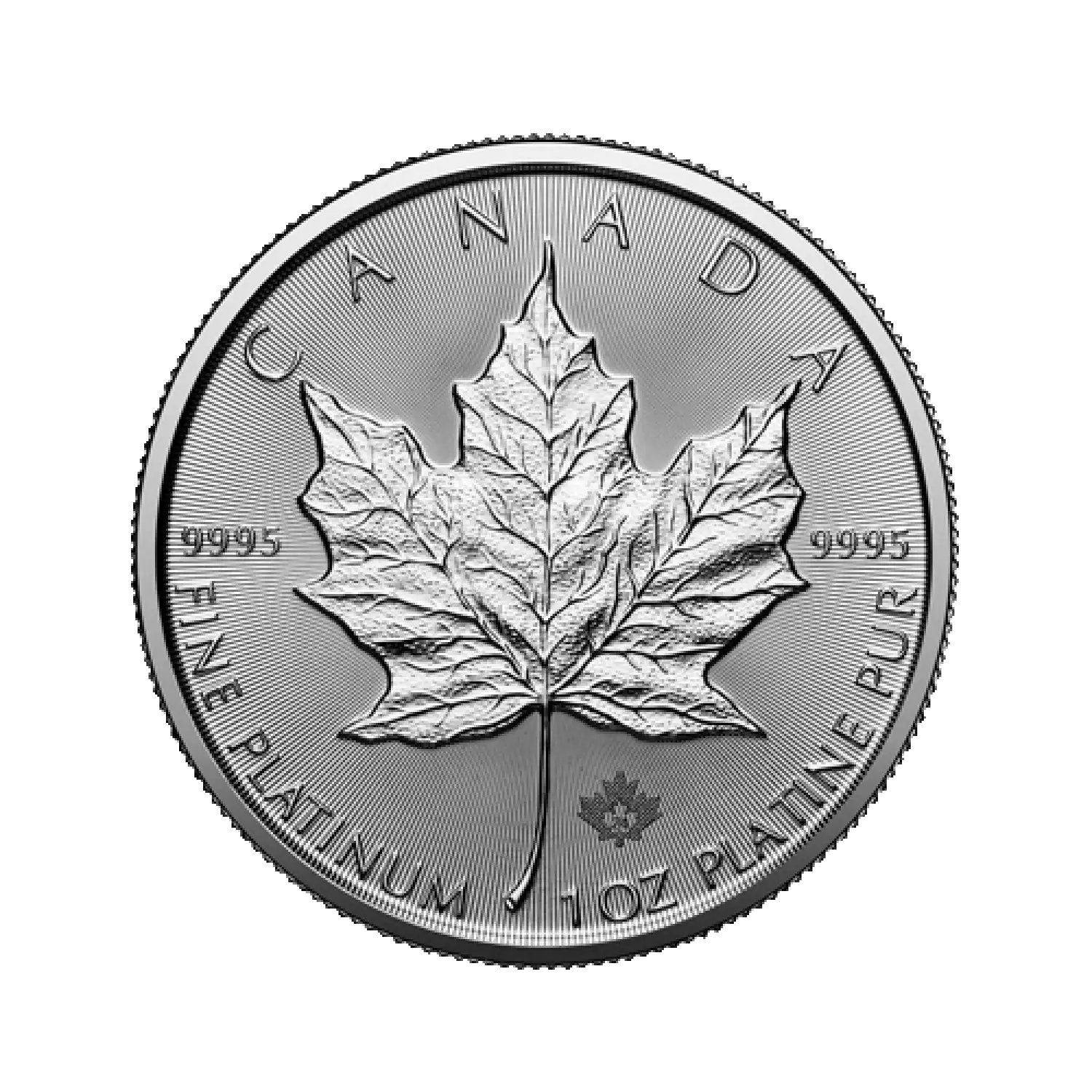 2024 1oz Canadian Platinum Maple Leaf (5)