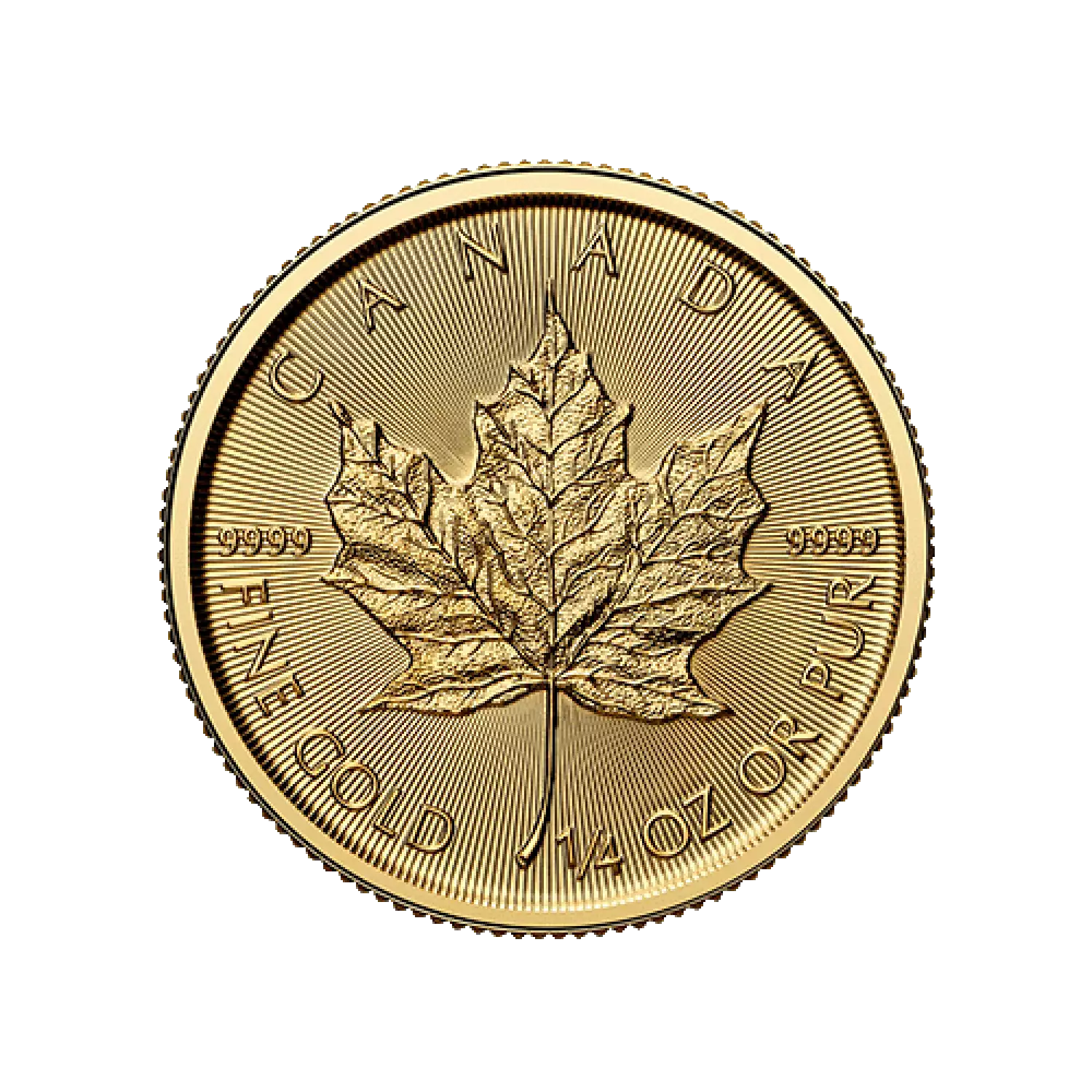 2025 1/4 oz Gold Maple Leaf Coin Royal Canadian Mint Gulfcoast Coin