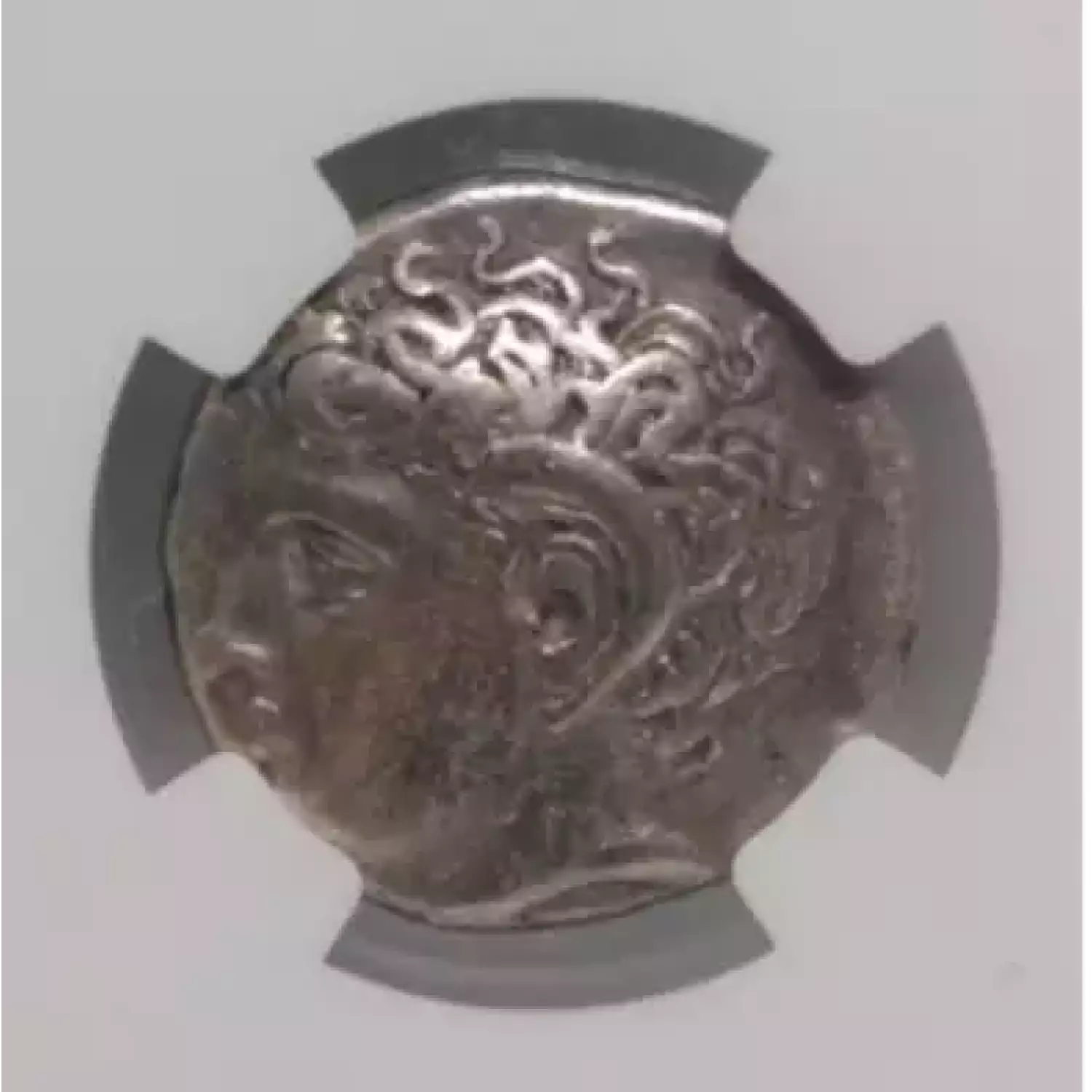 Silphium, 308-277 BC, Cyrenaica, Cyrene, NGC Ch VF (2)