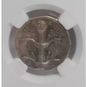 Silphium, 308-277 BC, Cyrenaica, Cyrene, NGC Ch VF